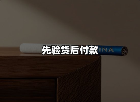 专业优势